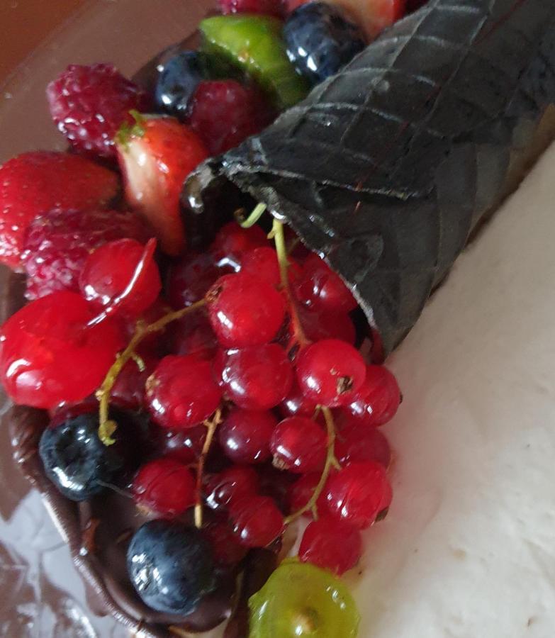 Sweet Honey Mieszkanie W Plocku Apartment ภายนอก รูปภาพ